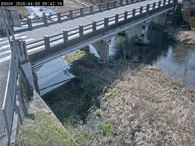 最新監視カメラ画像