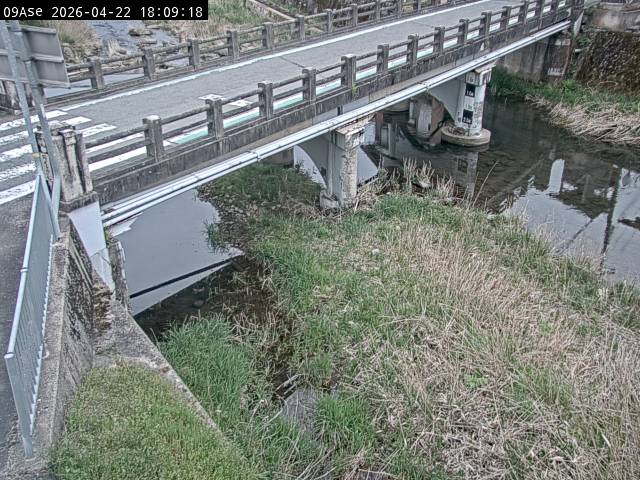 最新監視カメラ画像