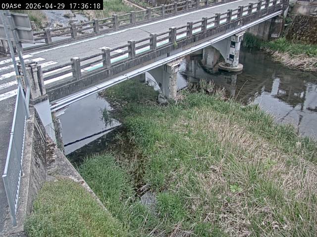 最新監視カメラ画像