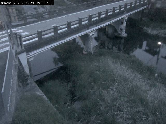 最新監視カメラ画像