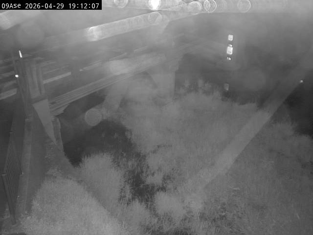 最新監視カメラ画像