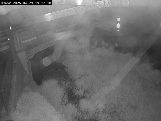 最新監視カメラ画像