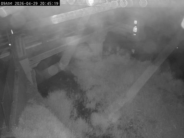 最新監視カメラ画像