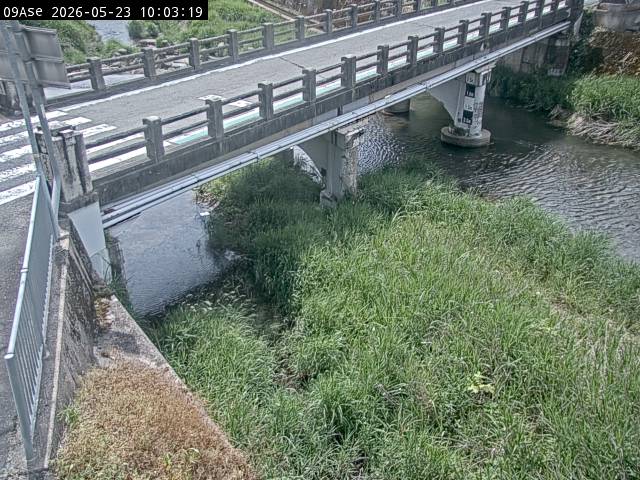 最新監視カメラ画像