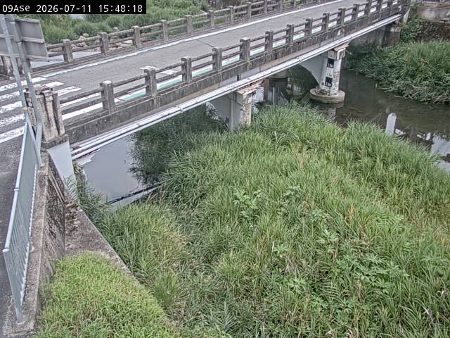 最新監視カメラ画像