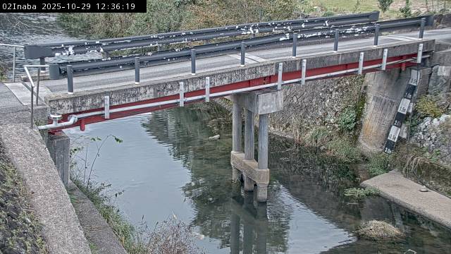 最新監視カメラ画像