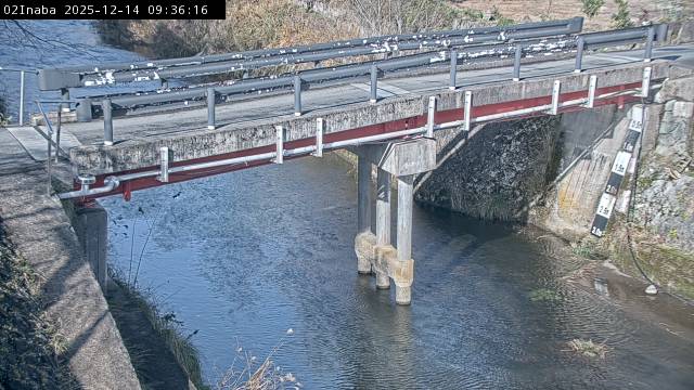 最新監視カメラ画像