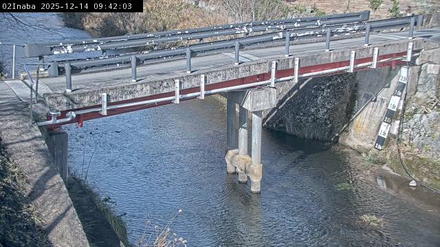 最新監視カメラ画像