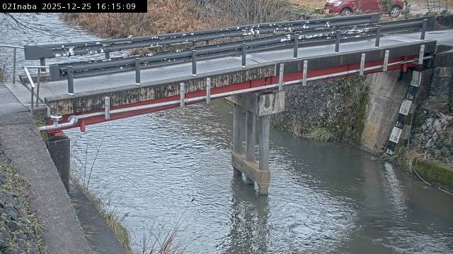 最新監視カメラ画像