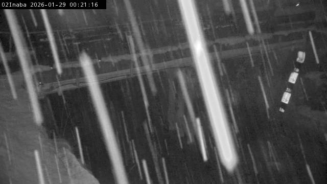 最新監視カメラ画像