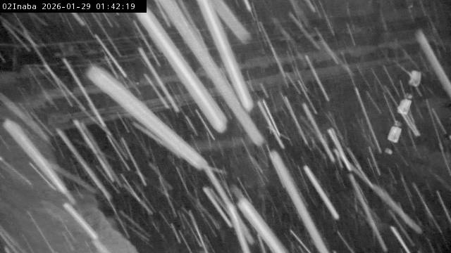 最新監視カメラ画像