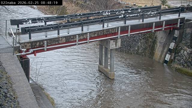 最新監視カメラ画像