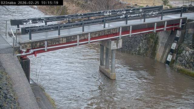 最新監視カメラ画像