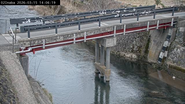 最新監視カメラ画像