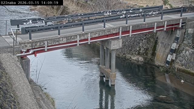 最新監視カメラ画像