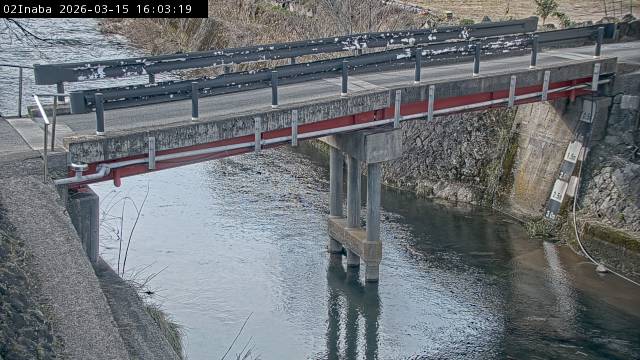 最新監視カメラ画像