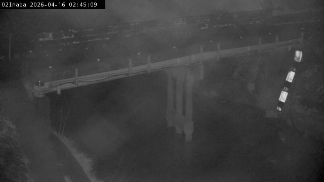 最新監視カメラ画像