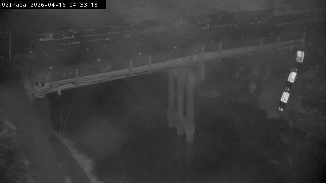 最新監視カメラ画像