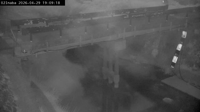 最新監視カメラ画像