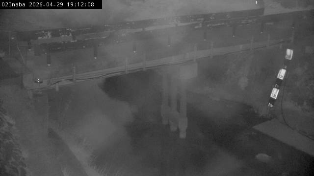 最新監視カメラ画像