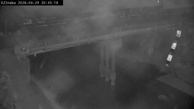 最新監視カメラ画像