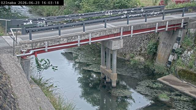 最新監視カメラ画像