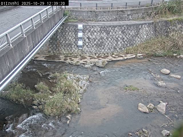 最新監視カメラ画像