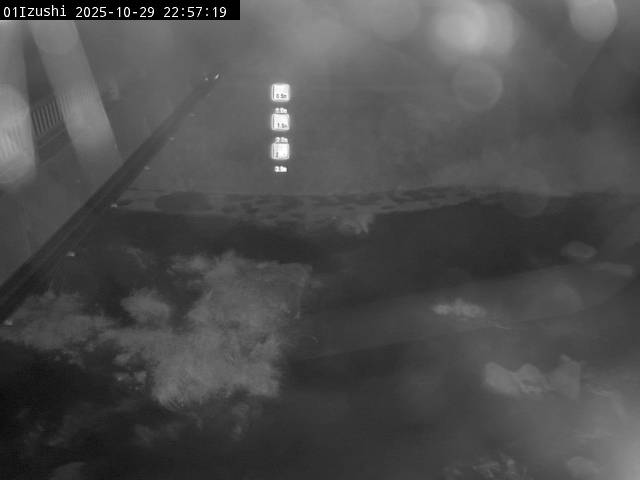 最新監視カメラ画像