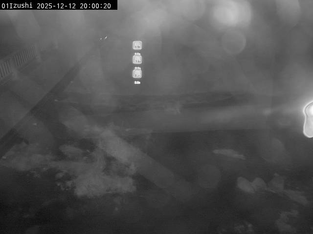 最新監視カメラ画像