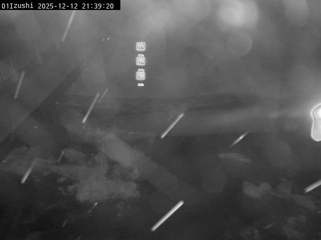 最新監視カメラ画像