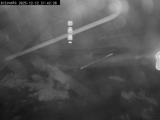 最新監視カメラ画像