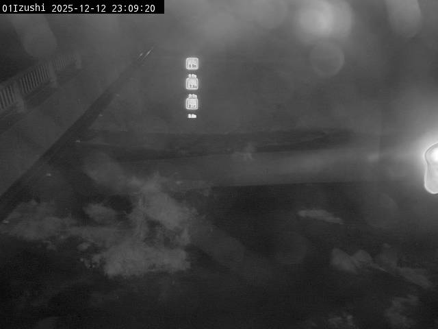 最新監視カメラ画像