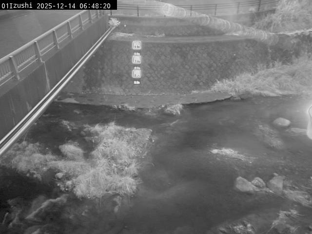 最新監視カメラ画像