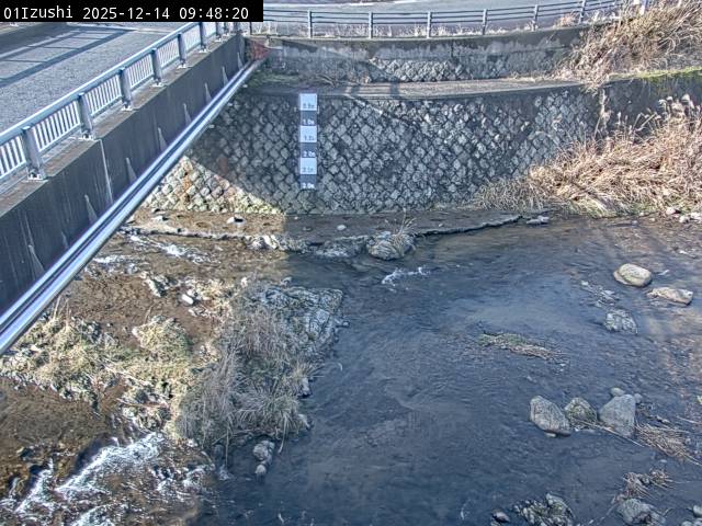 最新監視カメラ画像