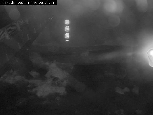 最新監視カメラ画像