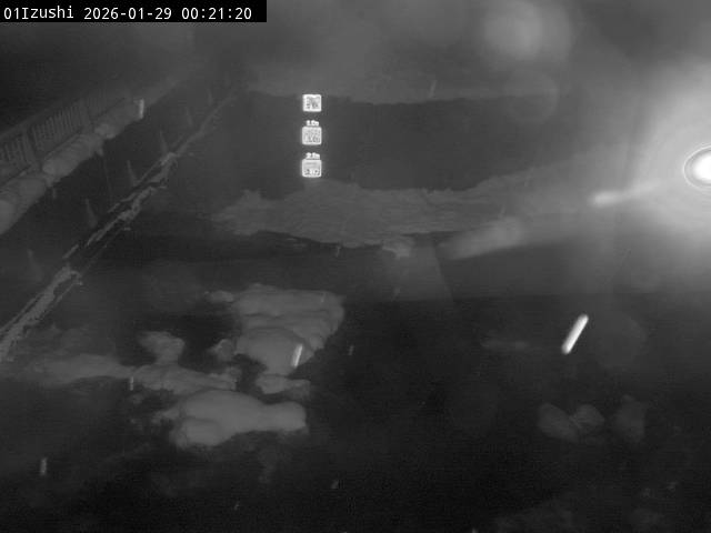 最新監視カメラ画像