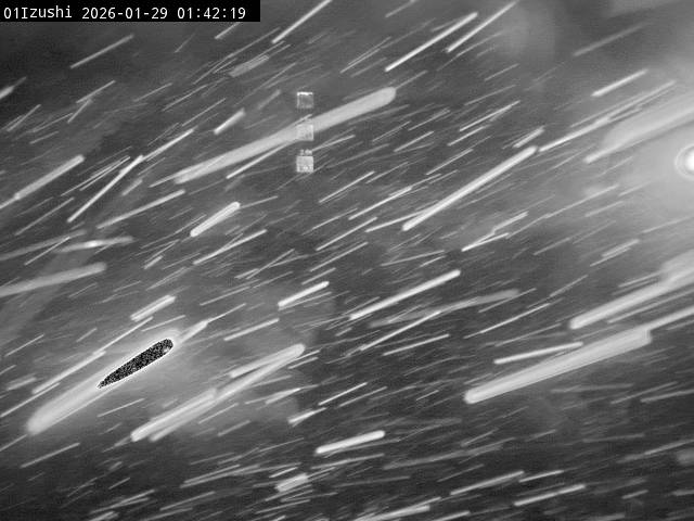 最新監視カメラ画像