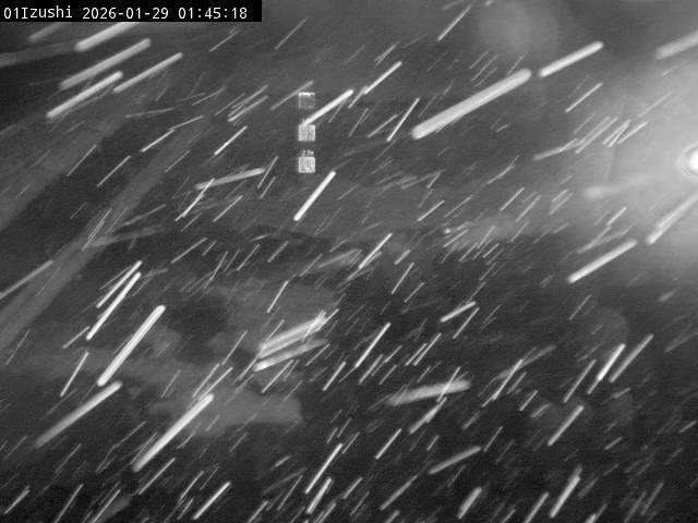 最新監視カメラ画像