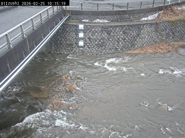 最新監視カメラ画像