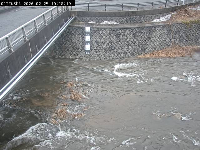 最新監視カメラ画像