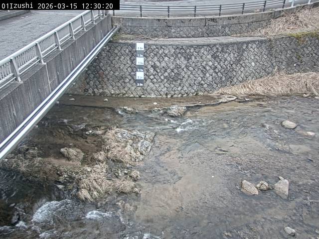 最新監視カメラ画像