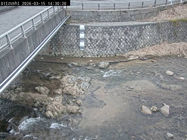 最新監視カメラ画像