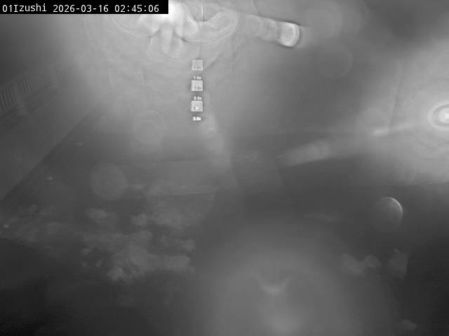 最新監視カメラ画像