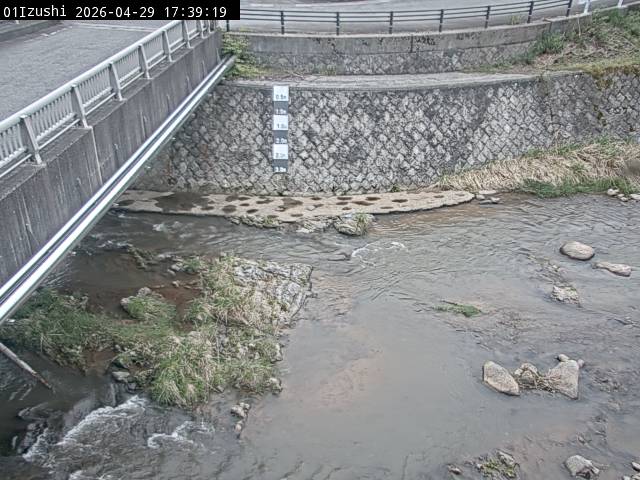 最新監視カメラ画像