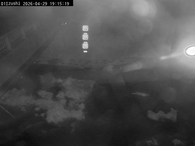 最新監視カメラ画像