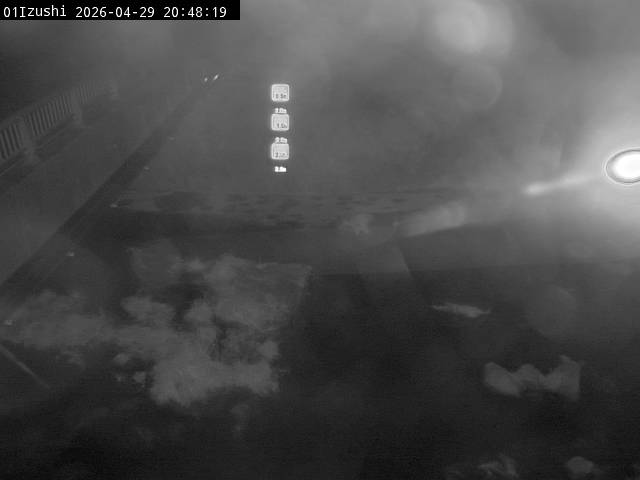 最新監視カメラ画像