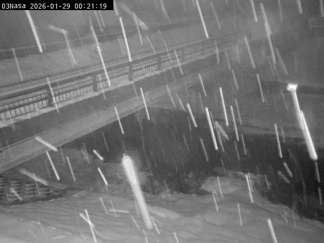 最新監視カメラ画像