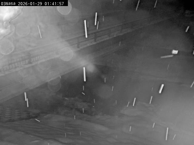 最新監視カメラ画像