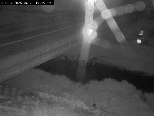 最新監視カメラ画像