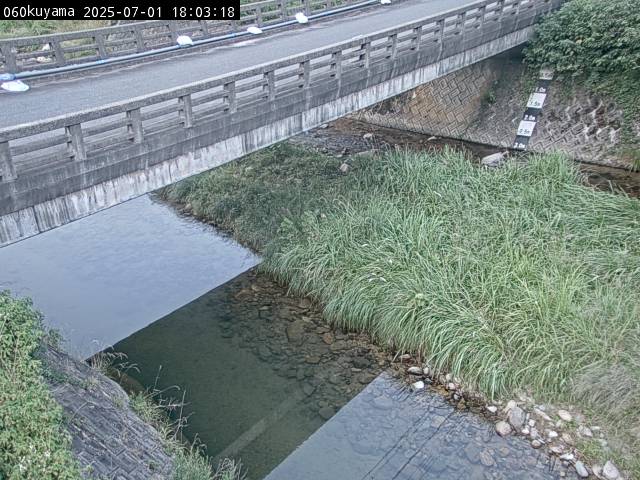 最新監視カメラ画像